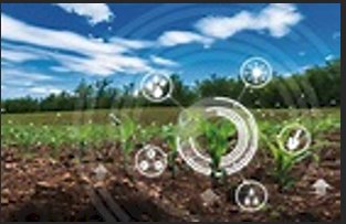 Smart Agriculture: AI for Sustainable Farming